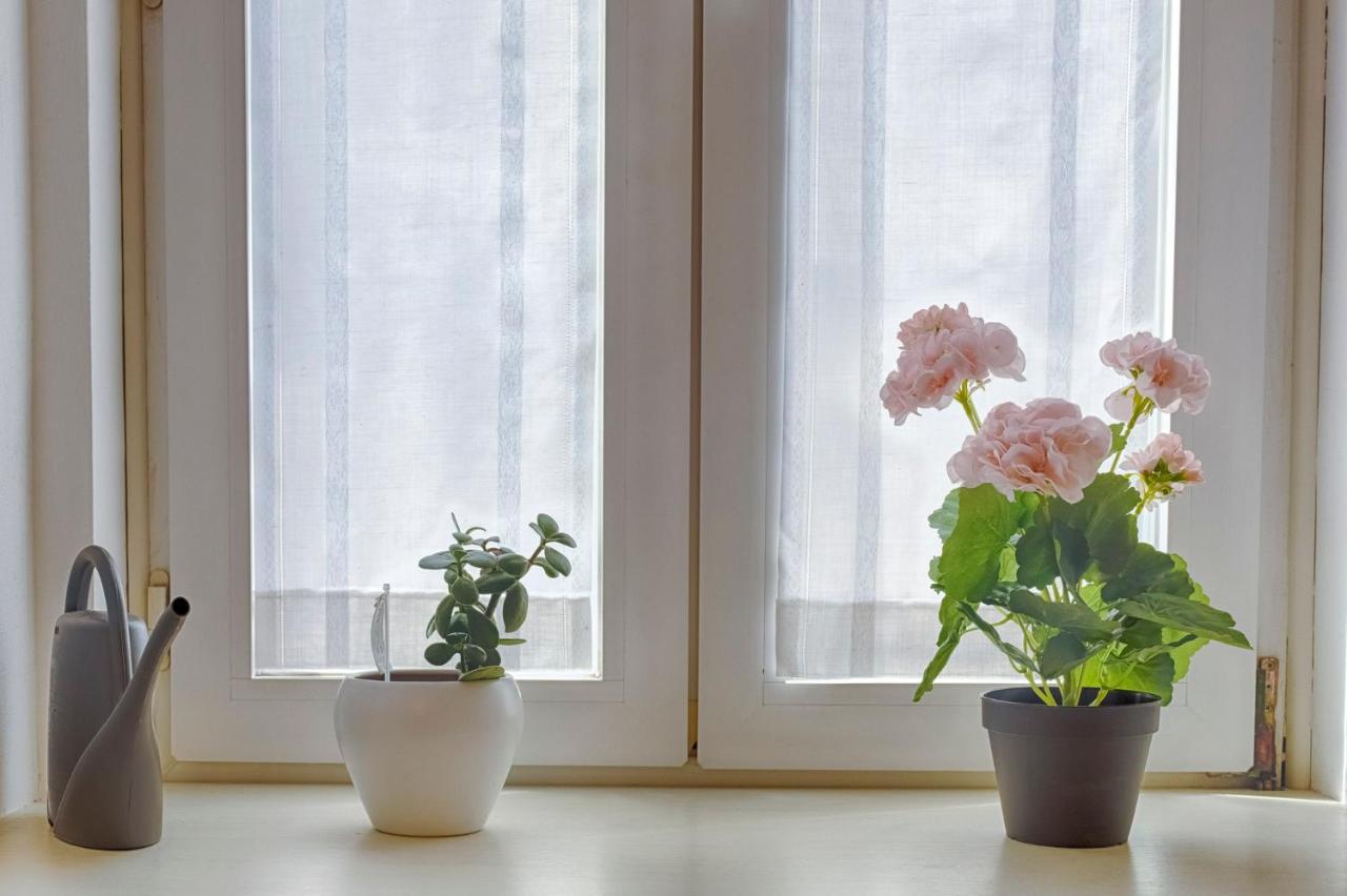 Mihaela Apartment - Charme Near The Station Trieste Bagian luar foto